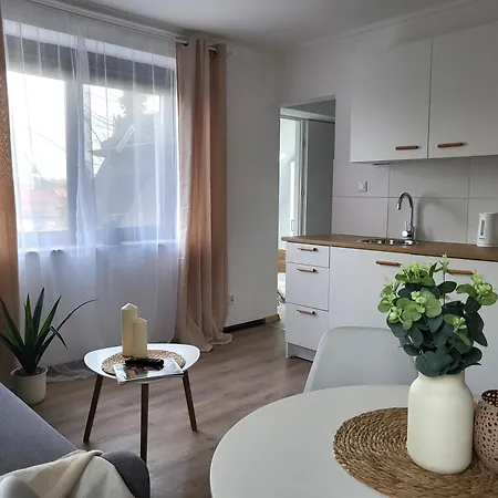 Mieszkanie Przy Zubrowej Oliwa Apartment